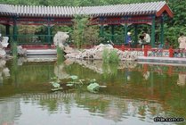 月坛公园