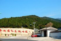 蟒山国家森林公园