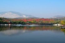 北宫森林公园