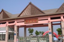 上海都市菜园