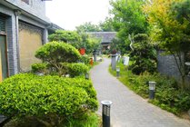 高家庄生态园