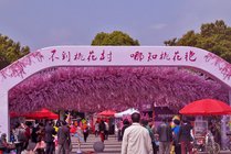 上海南汇桃花村