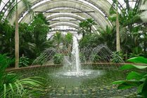 天津热带植物观光园