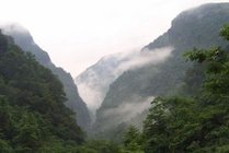 金佛山风景区
