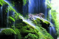 重庆金刀峡风景区