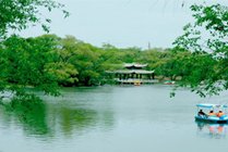 龙沙公园