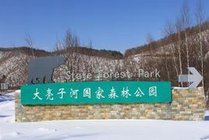 大亮子河国家森林公园
