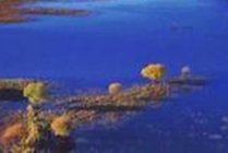 雁鸣湖旅游度假区
