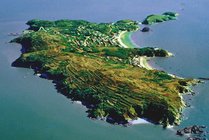 大鹿岛