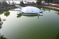 东方巨龟苑