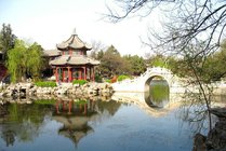 古莲花池