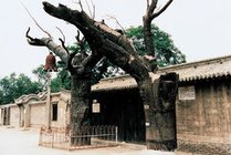 冉庄地道战遗址