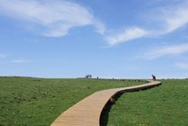 芦芽山风景区