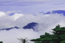 牛背梁国家森林公园
