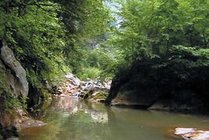 龙门洞森林公园