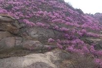 大珠山风景区