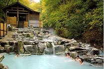 大雁岛绿色生态园