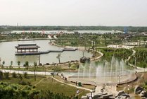 夏津县黄河故道森林公园