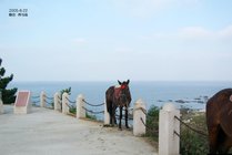 养马岛旅游度假区