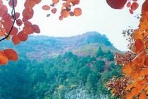 青州仰天山国家森林公园