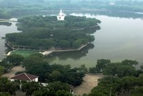 寿光林海生态博览园