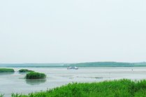 东平湖湿地公园