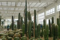 沙漠植物风情园