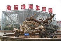 龟兹绿洲生态园