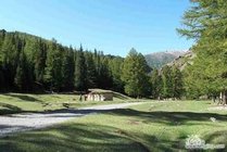 哈密天山国家森林公园寒气沟景区