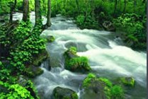 五指泉风景区