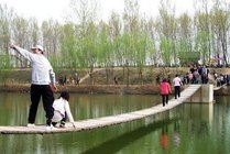 丰乐葵园