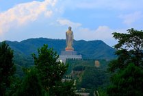 中原大佛