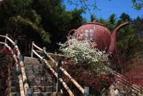 养子沟