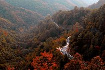 甘山国家森林公园南门