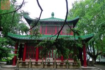览胜楼