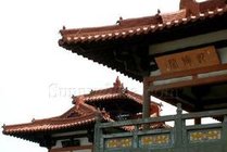 唐城