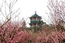无锡梅园横山风景区