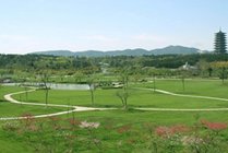 龙背山森林公园