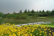 白塘生态植物园