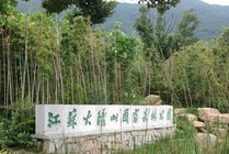 江苏大阳山国家森林公园