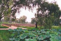 茱萸湾风景区