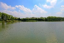大纵湖旅游度假区