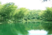 南山竹海