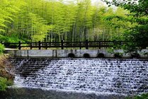 天目湖御水温泉