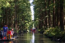 李中水上森林公园