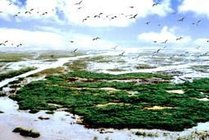 洪泽湖湿地国家级自然保护区