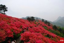 龟峰山风景区