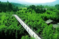 安吉竹博园