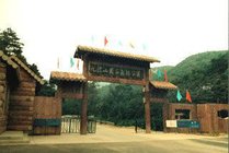 九龙山国家森林公园
