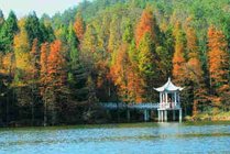 宁波四明山森林公园